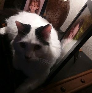 Meet your Posher, Weather